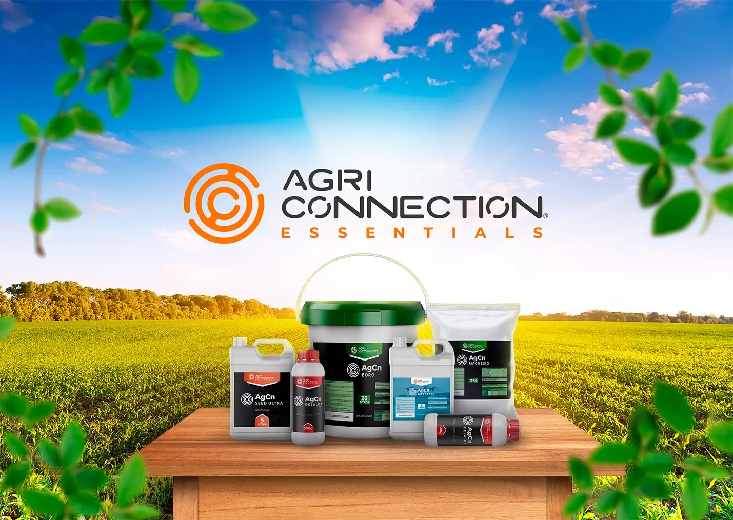 01-Agriconnection
